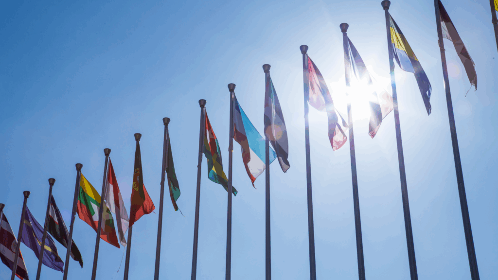 Image of world flags to denote global collaboration