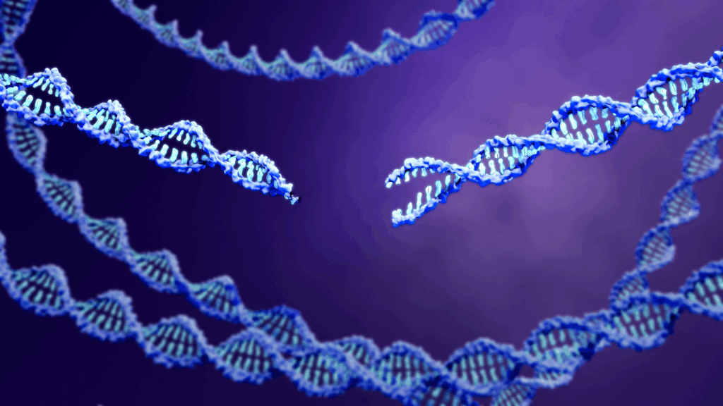 Image of DNA cut by CRISPR-Cas9 