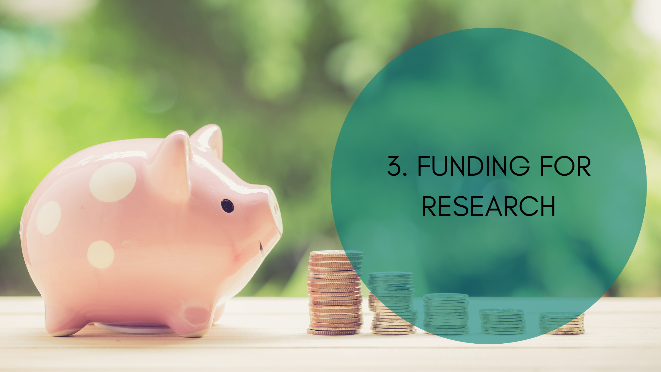 Image of a piggy bank with piles of coins next to it to denote funding