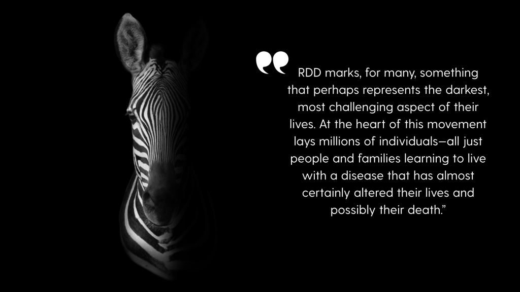 Photo of a zebra, to represent RDD, half in the shadows