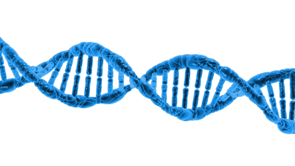 Image of a strand of DNA