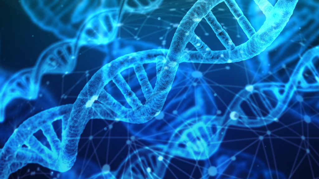 Photo of a DNA strand
