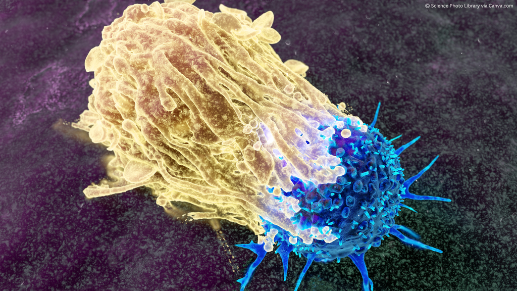 Image of a cancer cell on a dark grey background